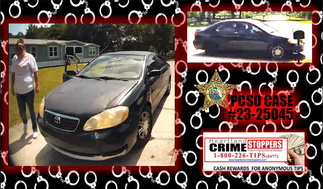 suspect and suspect vehicle