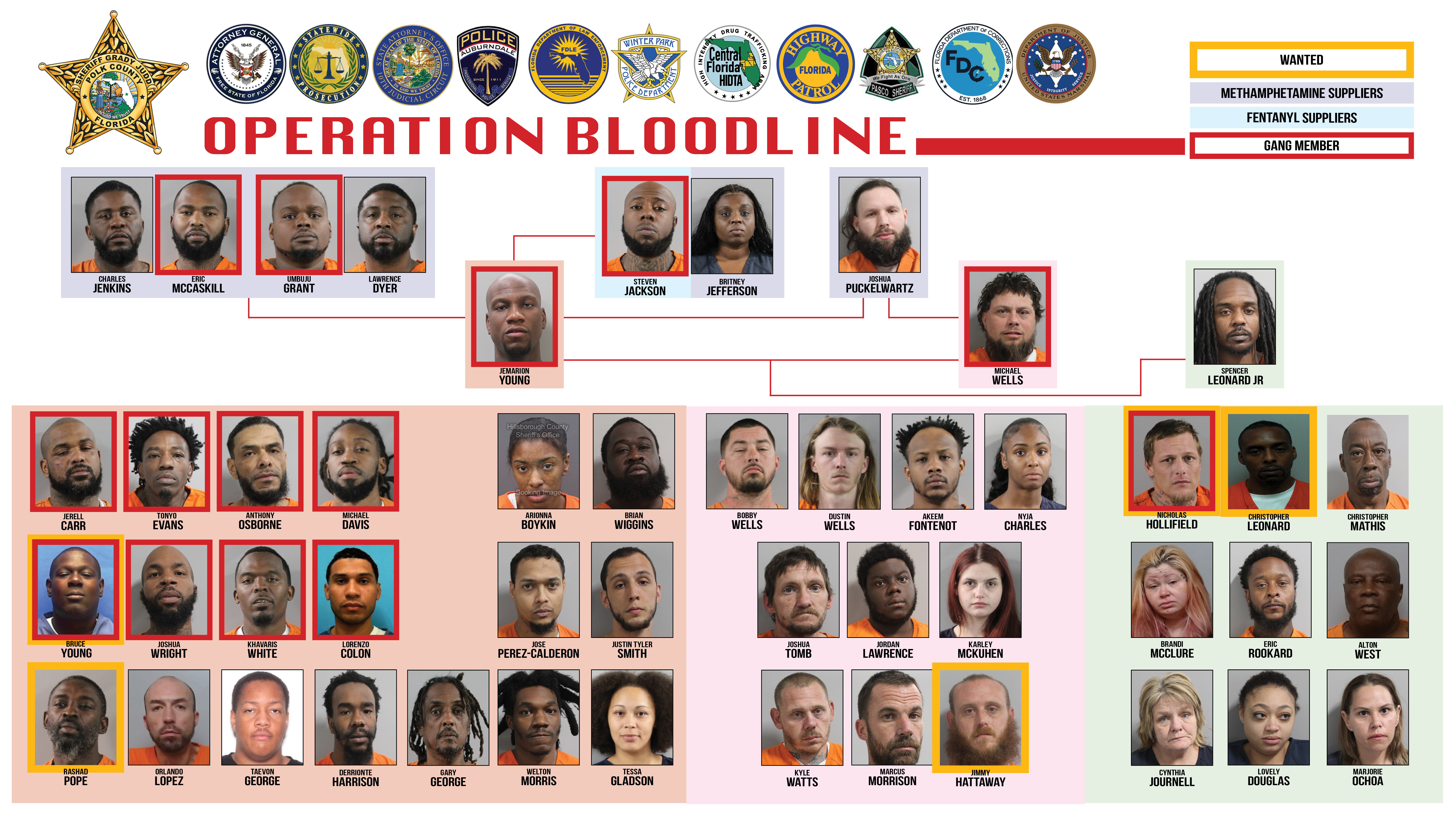 Operation Bloodline